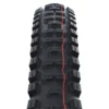 Schwalbe Big Betty Evo Super Gravity Addix Soft Folding TLE 29er Tyre